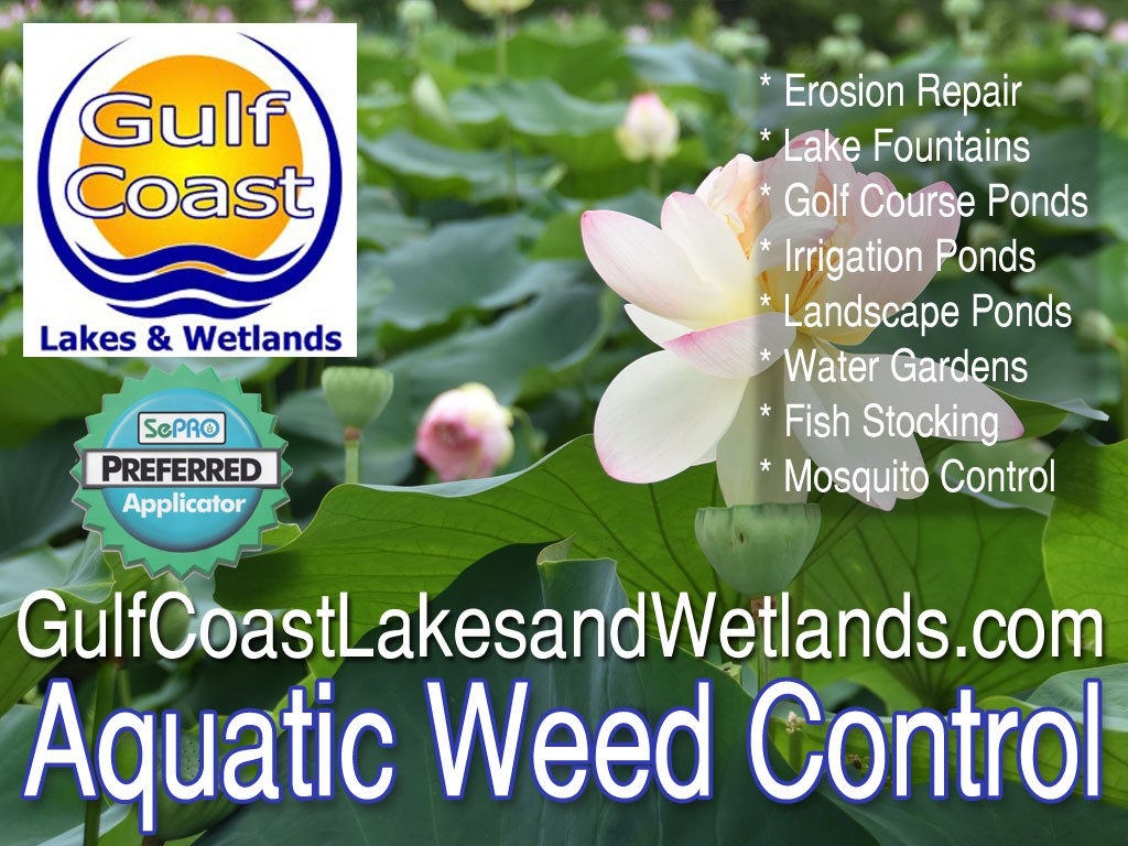 GCLW-Aquatic-Weed-Control-01 GCLW-Aquatic-Weed-Control-01