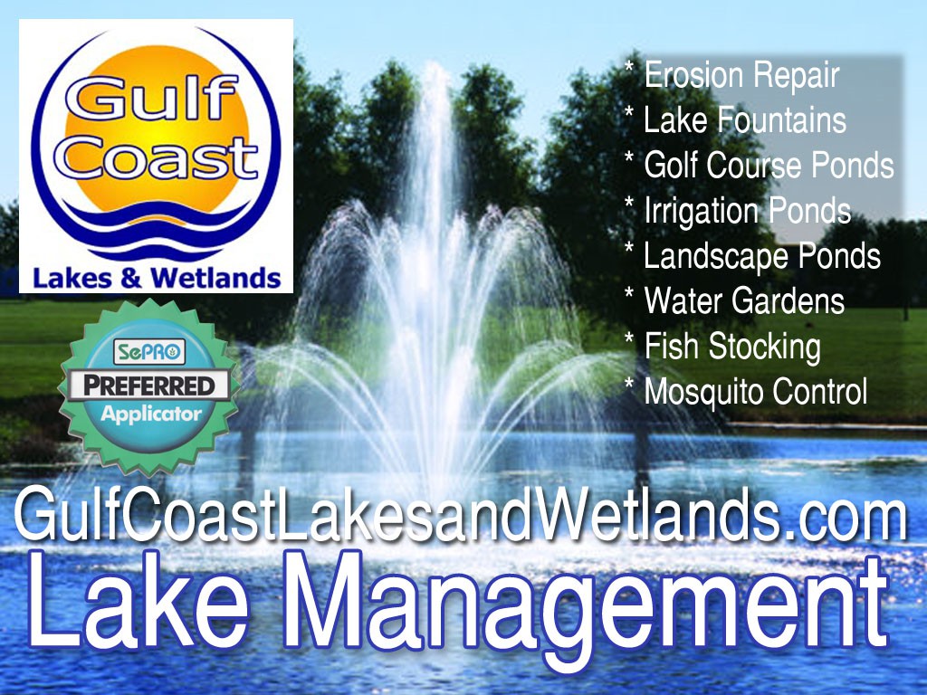 GCLW-Lake-Manageement-Services-01 GCLW-Lake-Manageement-Services-01