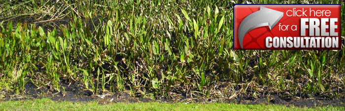 Gulf CoastLakes and Wetlands